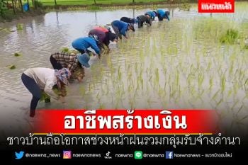 อาชีพสร้างเงิน! ชาวบ้านถือโอกาสช่วงหน้าฝนรวมกลุ่มรับจ้างดำนา