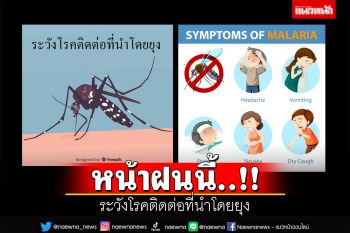 Life & Health :  หน้าฝนนี้..ระวังโรคติดต่อที่นำโดยยุง