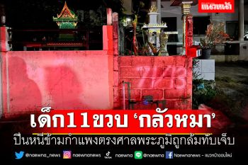 เด็ก11ขวบ กลัวหมา ปีนหนีข้ามกำแพงตรงศาลพระภูมิถูกล้มทับเจ็บ