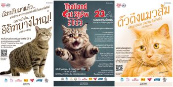 ทาสแมวห้ามพลาด! เปิดอาณาจักรของคนรักแมว  ในงาน ‘23rd Thailand Cat Show 2023’ ปีที่ 5