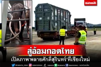 สู่อ้อมกอดประเทศไทย! เปิดภาพ‘พลายศักดิ์สุรินทร์’ที่เชียงใหม่