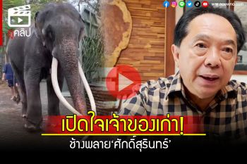(คลิป) เปิดใจเจ้าของเก่า! \'ช้างพลายศักดิ์สุรินทร์\' หลังได้กลับบ้านเกิดประเทศไทย