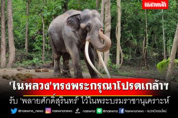 \'ในหลวง\' ทรงพระกรุณาโปรดเกล้าฯ รับ \'พลายศักดิ์สุรินทร์\' ไว้ในพระบรมราชานุเคราะห์