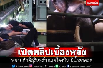 เปิดคลิปเบื้องหลัง\'พลายศักดิ์สุรินทร์\'มีน้ำตา ระหว่างเดินทางกลับไทย