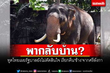 พากลับบ้าน? ทูตไทยเผยรัฐบาลยังไม่ตัดสินใจ เรียกคืน\'ช้าง\'จากศรีลังกา