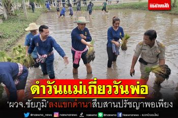 \'ผวจ.ชัยภูมิ\'ลงแขกดำนา \'ดำวันแม่เกี่ยววันพ่อ\' สืบสานปรัชญาพอเพียง