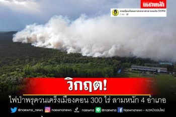 วิกฤต! ไฟป่าพรุควนเคร็งเมืองคอน 300 ไร่ ลามหนัก 4 อำเภอ