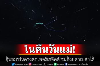 ข่าวดี! ลุ้นชม\'ฝนดาวตกเพอร์เซอิดส์\' ในคืนวันแม่ สามารถนอนชมด้วยตาเปล่าได้
