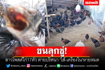 ขนลุกซู่! สาวโพสต์ไก่17ตัว ตายปริศนา \'ไส้-เครื่องใน\'หายหมด หรือจะเป็นปอบ?