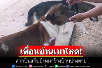 เพื่อนบ้านเมาโหด ลากปืนแก๊ปยิงหมาข้างบ้านปางตาย ล่าสุดตร.ออกหมายเรียกแล้ว