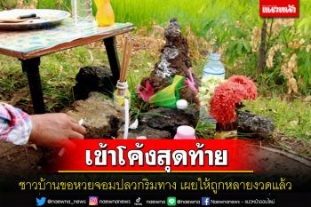 ชาวบ้านแห่กราบไหว้ขอเลขจอมปลวกโผล่ริมถนน เผยให้โชคมาหลายงวดแล้ว