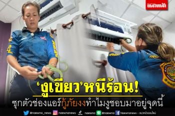 \'งูเขียว\'หนีร้อน! ซุกตัวในช่องแอร์ กู้ภัยยังงง...ทำไมงูชอบมาอยู่จุดนี้