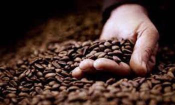 Health News : กาแฟไร้กาเฟอีนตามธรรมชาติ