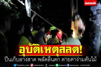 อุบัติเหตุสลด! หนุ่มปีนเก็บลางสาด ฝนตกพลัดลื่นตก ตายคาง่ามต้นไม้