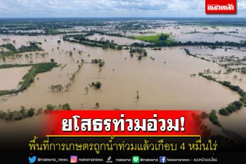 พื้นที่การเกษตร 7 อำเภอยโสธรอ่วม! ถูกน้ำท่วมแล้วเกือบ 4 หมื่นไร่