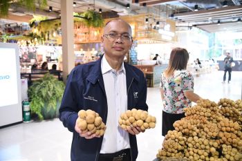 DIT เปิดพื้นที่จำหน่ายลองกองทั่วกรุงเทพฯ และปริมณฑล ช่วยเหลือเกษตรกรลองกอง 3 จชต.