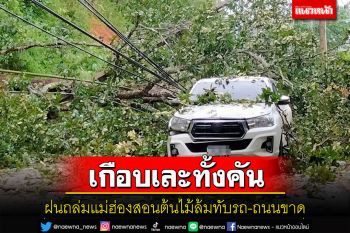 ฝนถล่มแม่ฮ่องสอนต้นไม้ล้มทับรถถนนถูกตัดขาด บ้านเรือนพื้นที่เกษตรเสียหาย