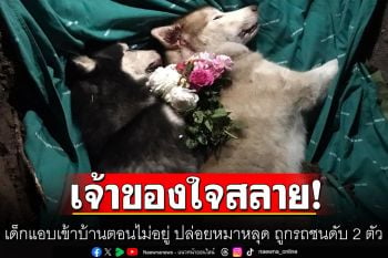 เจ้าของใจสลาย! ถูกเด็กแอบเข้าบ้านตอนไม่อยู่ ปล่อยหมาหลุด ถูกรถชนตาย 2 ตัว