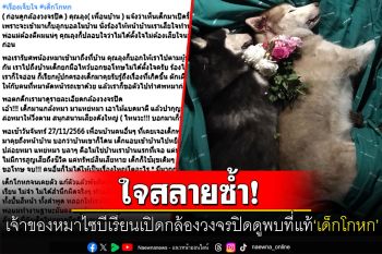 เจ้าของหมาไซบีเรียนเปิดวงจรปิดดู พบเด็กจงใจแกล้งหมา-เพื่อนบ้านร่วมแฉพฤติกรรม