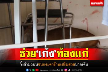 ช่วยเก้งท้องแก่! วิ่งข้ามถนนชนกระจกร้านเสริมสวย บาดเจ็บตื่นกลัวคน