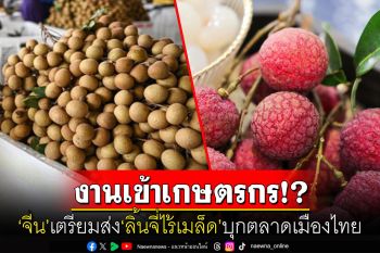 \'ไหหลำ\'ของจีนส่งออกผลไม้เขตร้อนโต2.4เท่า จ่อส่ง\'ลิ้นจี่ไร้เมล็ด\'บุกตลาดไทยครั้งแรก