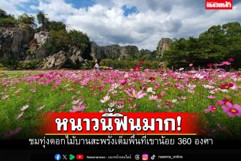 ถูกใจสายเซลฟี่! ทุ่งดอกไม้บานสะพรั่ง360องศา ภูเขาหินปูนล้านปี @พิษณุโลก