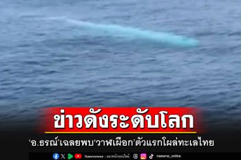 ดังระเบิดแน่!! \'อ.ธรณ์\'เฉลยพบ\'วาฬเผือก\'ตัวแรกของไทย ชี้ดับเบิ้ลหายากในโลก