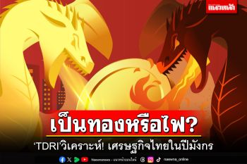 เป็นทองหรือไฟ? ‘TDRI’วิเคราะห์! เศรษฐกิจไทยในปีมังกร