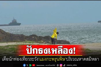 เตือนนักท่องเที่ยวระวัง\'แมงกะพรุน\'บริเวณหาดชลาทัศน์-หาดสมิหลา