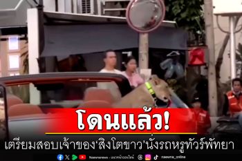 โดนแล้ว! เตรียมสอบเจ้าของ\'สิงโตขาว\' นั่งรถหรูทัวร์พัทยา