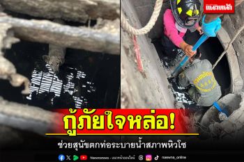 กู้ภัยลพบุรีใจหล่อ! ช่วยสุนัขตกท่อสภาพหิวโซ ทุกชีวิตล้วนมีความหมาย
