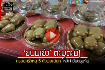 (คลิป) \'ขนมเข่งครอบครัวหมู 5 ตัว\' สุดตะมุตะมิ รับตรุษจีน