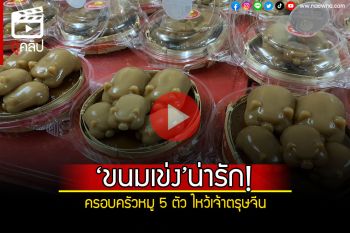 (คลิป) \'ขนมเข่ง\'น่ารัก! รูปครอบครัวหมู 5 ตัวพ่อแม่ลูก ไหว้เจ้าวันตรุษจีน