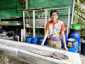 ‘ศุภมาส’ สั่งวิจัย ‘ปลาพญานาค’  พร้อมจัดแสดงนิทรรศการสัตว์ทะเลหายาก