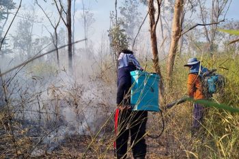 ระดม จนท.2 อำเภอในบุรีรัมย์ดับไฟไหม้ป่าชุมชนเสียหายเกือบ700ไร่
