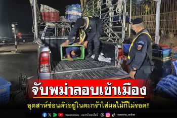 ทหารตากจับพม่าหลบหนีเข้าเมืองรูปแบบใหม่!! ซ่อนตัวมาในตะกร้าใส่ผลไม้