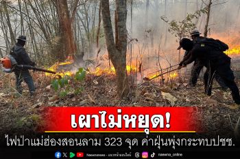 ทวีความรุนแรง! ไฟป่าแม่ฮ่องสอนลุกลามต่อเนื่อง 323 จุด หวั่นปัญหาควันไฟกระทบเมือง