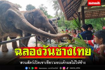 สวนสัตว์เปิดเขาเขียว ฉลองวันช้างไทย 13 มีนา 67 มอบเค้กผลไม้ก้อนยักษ์ให้ช้าง