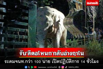 ปฏิบัติการ 14 ชม.จับช้างป่า‘สีดอโหนก’กลับอ่างฤาไน เปิดประวัติอันตรายเหยียบคนตาย