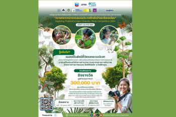 เชฟรอน-SPRC จับมือพันธมิตร เฟ้นหาสุดยอดช่างภาพรุ่นใหม่  ประกวดถ่ายภาพ ‘ความหลากหลายของแมลงประเทศไทยฯ’
