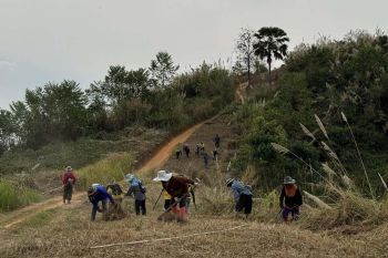 ‘น่าน’หนุนชาวบ้านสบขุ่นทำแนวป้องกันไฟป่า‘ป่าชุมชน-ไร่กาแฟ’ 2,000 ไร่ เฝ้าระวัง 3 เดือน