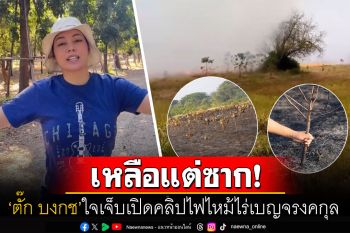 \'ตั๊ก บงกช\'เข่าแทบทรุดไฟโหมไหม้\'ไร่เบญจรงคกุล\' ทำต้นไม้ในไร่เหลือแต่ซาก