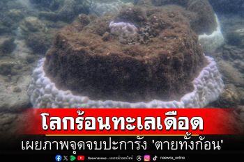 ภัยพิบัติครั้งใหญ่! ดร.ธรณ์เผยภาพจุดจบปะการัง \'ตายทั้งก้อน\' เหตุโลกร้อนทะเลเดือด