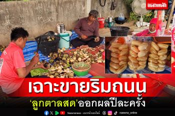 เฉาะขายสดๆริมถนน! \'ลูกตาลสด\' ออกผลปีละครั้ง