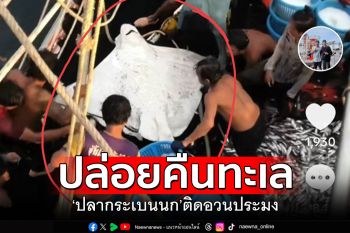 สัตว์หายาก! \'ปลากระเบนนก\'ติดอวน ชาวประมงช่วยปล่อยสู่ทะเล