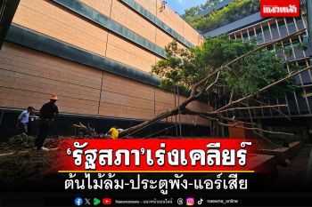 ‘รัฐสภา’เร่งเคลียร์!!! ต้นไม้ล้ม-ประตูพัง-แอร์เสีย