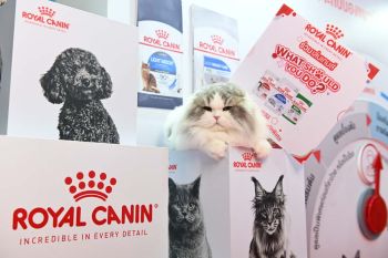 โรยัล คานิน ชวนคนรักน้องแมวน้องหมา  ค้นพบขุมทรัพย์ความรู้ด้านโภชนาการ