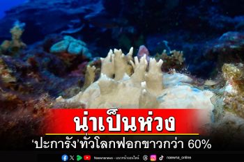 น่าเป็นห่วง! \'ปะการัง\'ทั่วโลกเกิดการฟอกขาวกว่า 60%