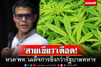 ‘สายเขียว’เดือด!หวด‘เพื่อไทย’เผด็จการยิ่งกว่ารัฐบาลทหาร ขังคุก‘กัญชา’เอื้อเฉพาะกลุ่ม