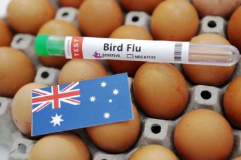 Health News : ออสเตรเลียพบผู้ติดเชื้อไวรัสไข้หวัดนกรายแรก